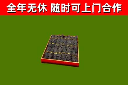 绥宁回收海参